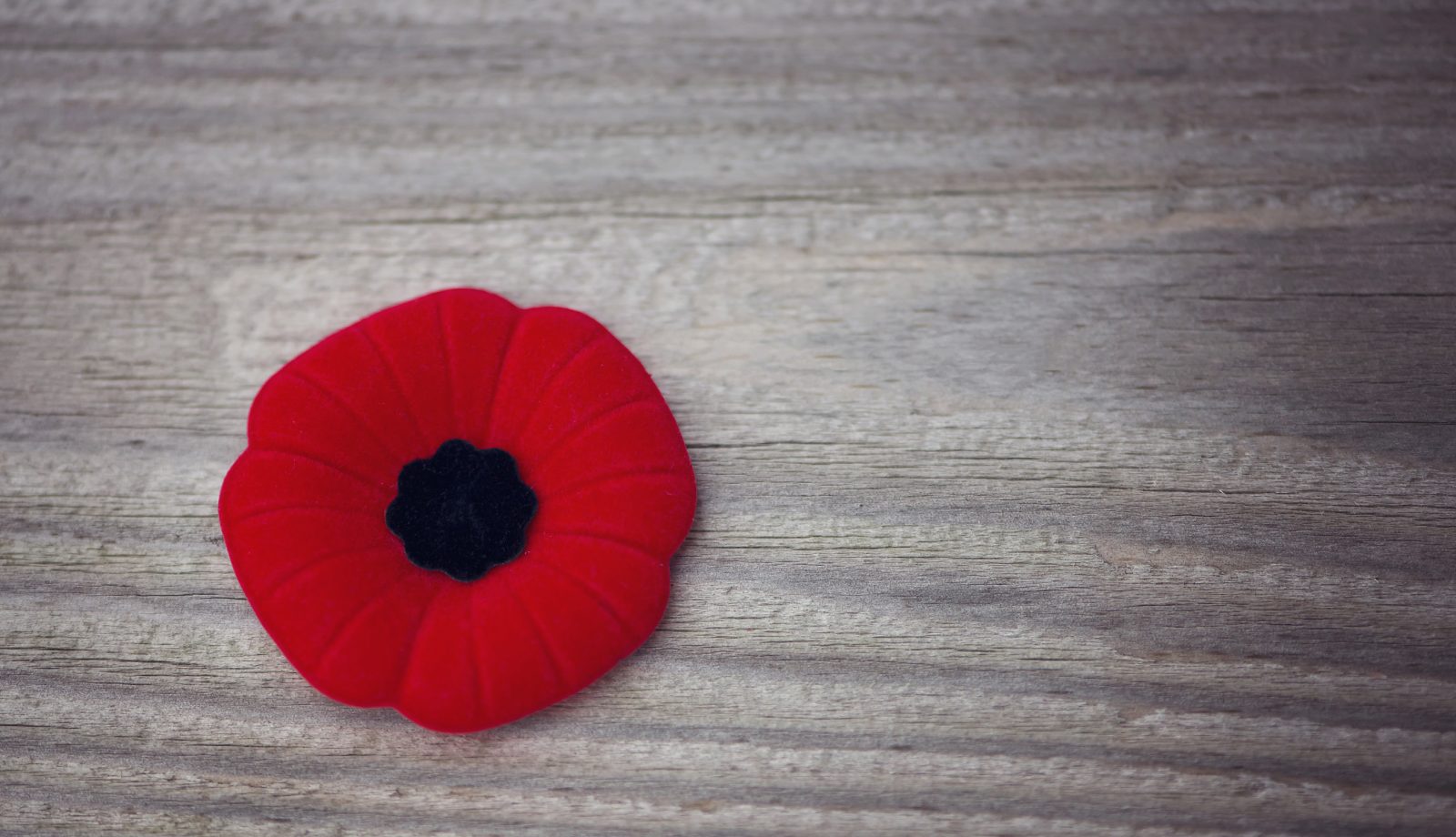 Remembrance Day Closure (Nov 11)